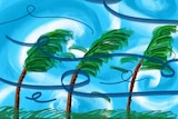 Illustration of palm trees flapping about in the wind.