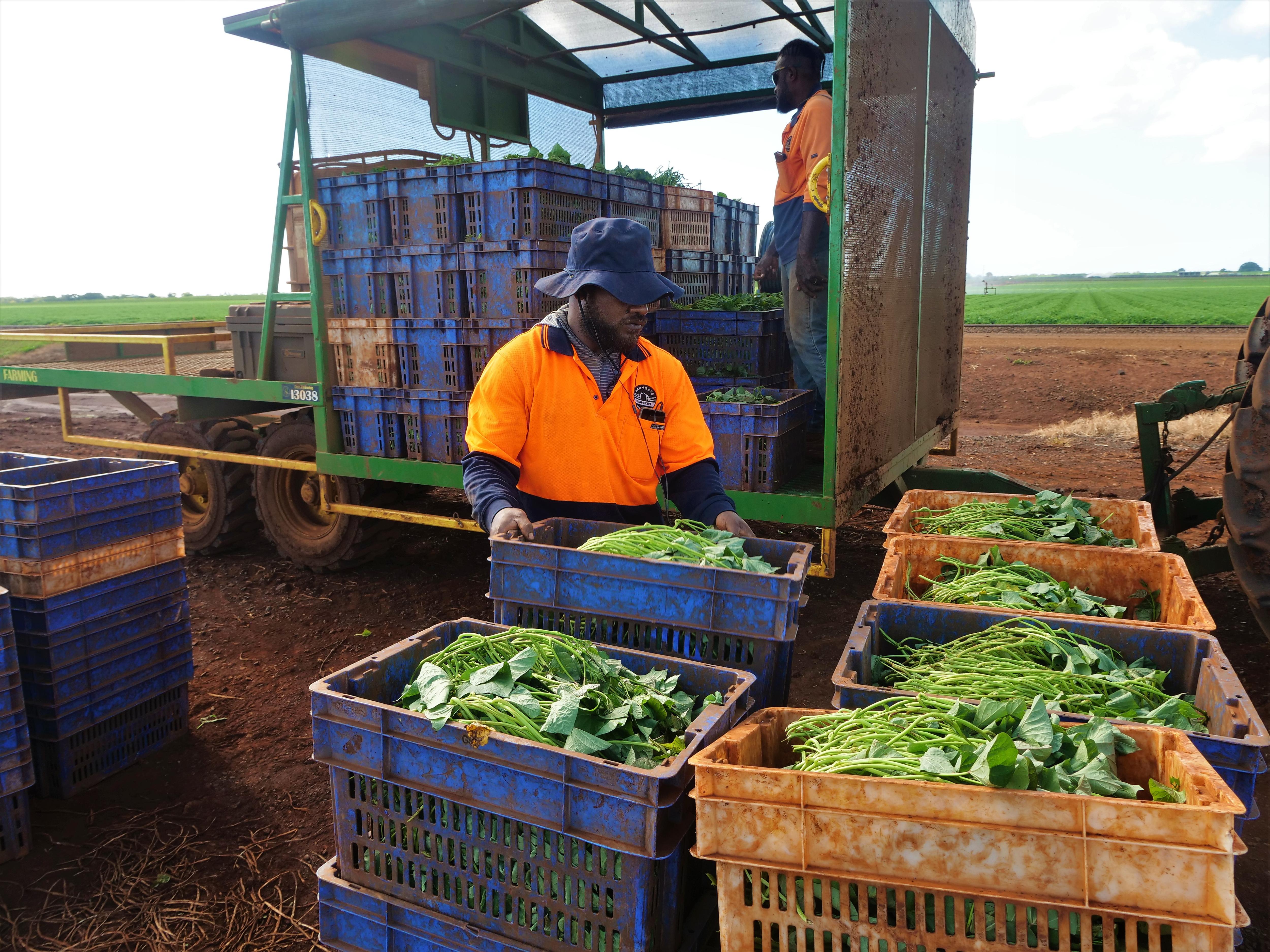 TimorLeste president slams exploitation in Australia's PALM scheme