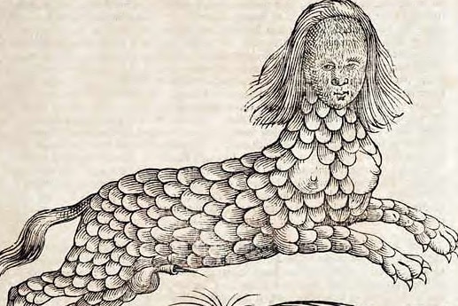 A drawing of a beast with scales, four legs, a woman's face covered in hair with long hair. 