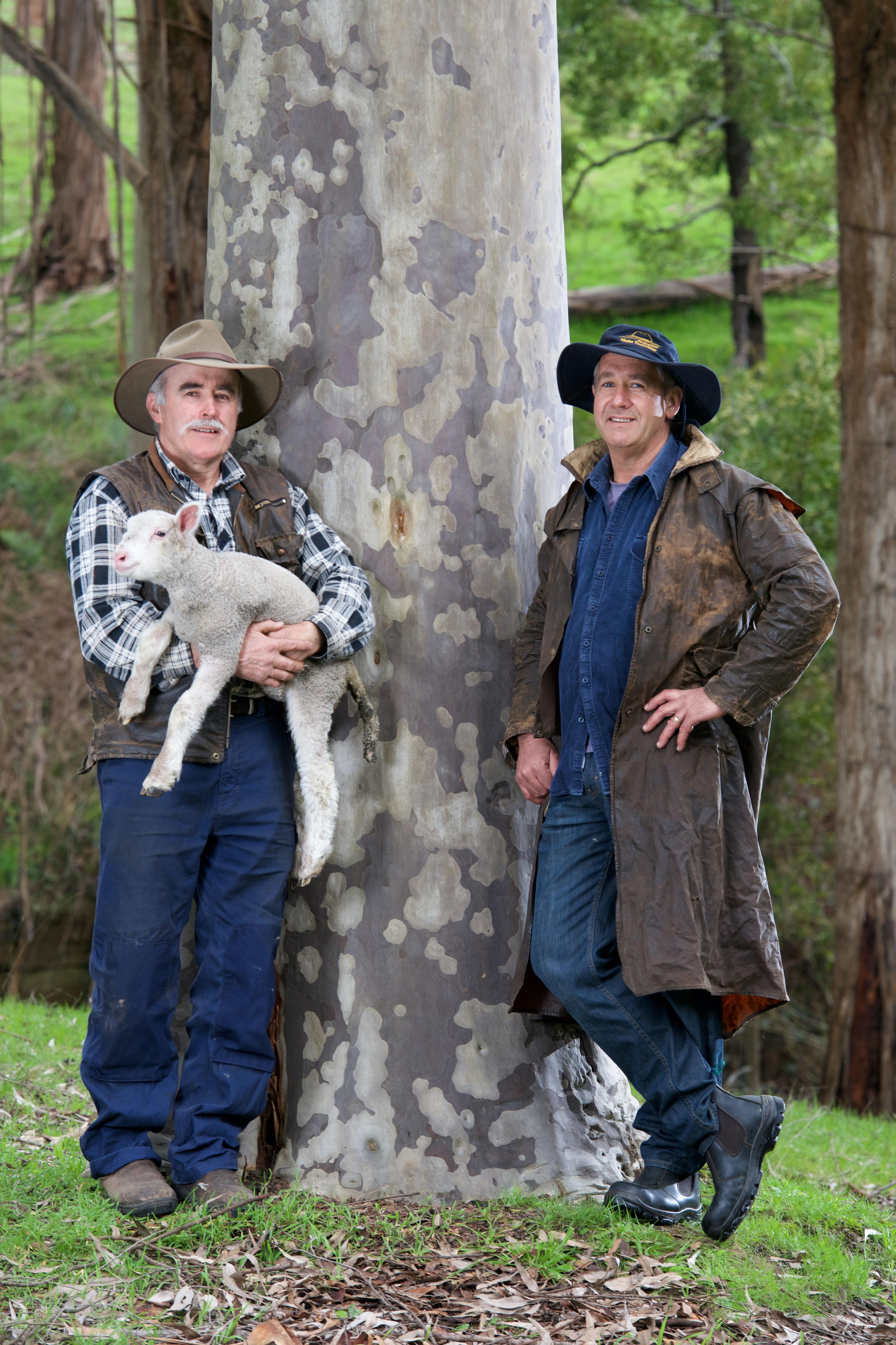 A farmer on the leftholding a lamb standing next to a eucalypt tree with another farmer on the right
