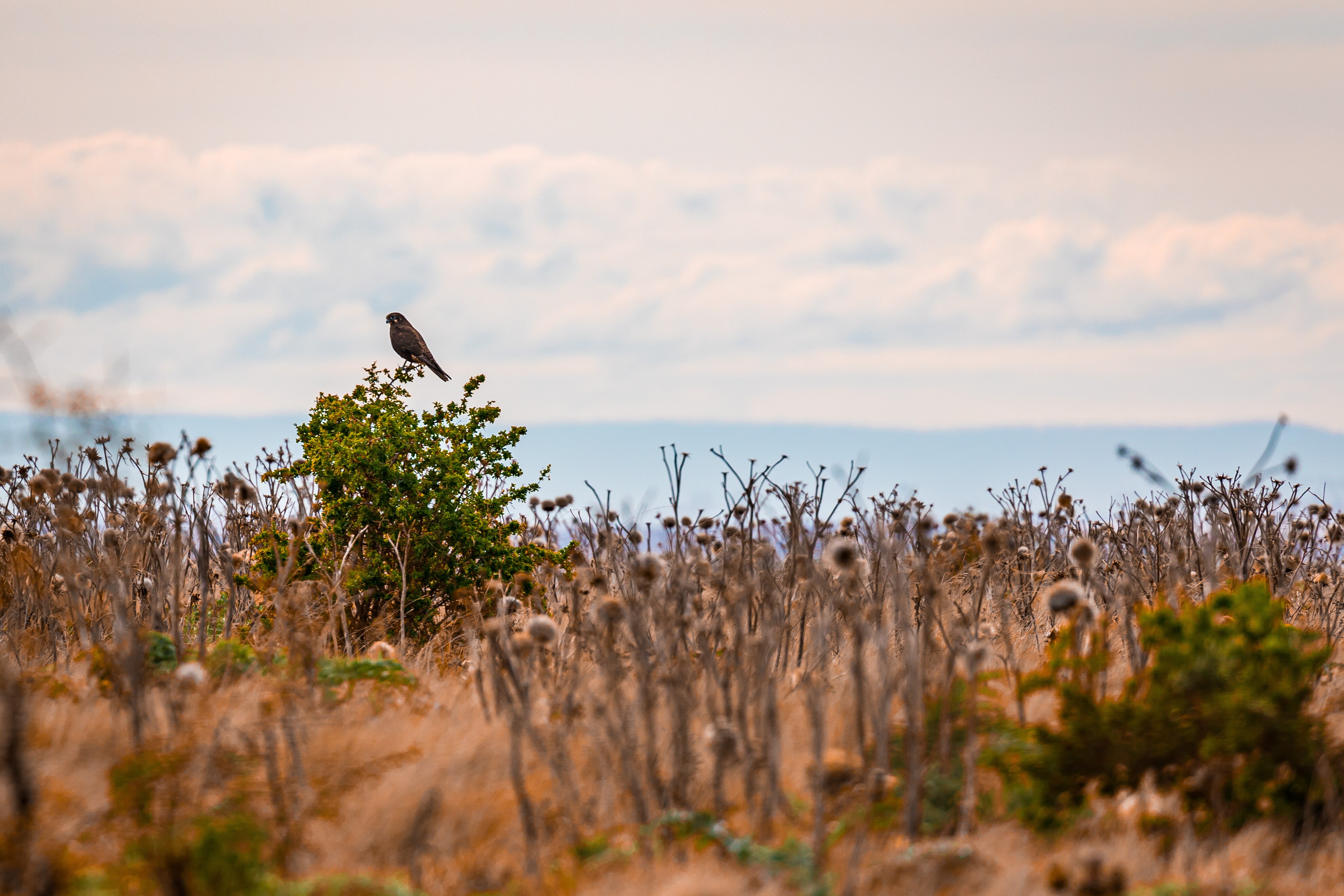 Victorian government ordered to pay property developers 92m