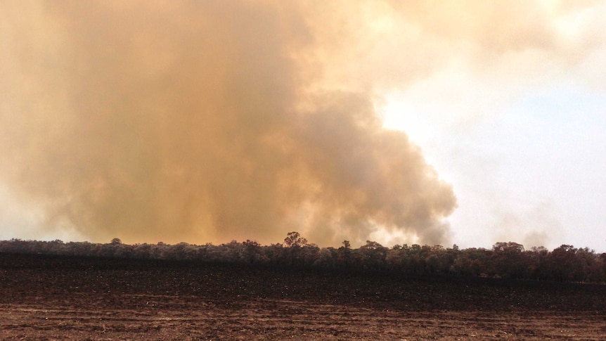 The view of the fires near Seaton