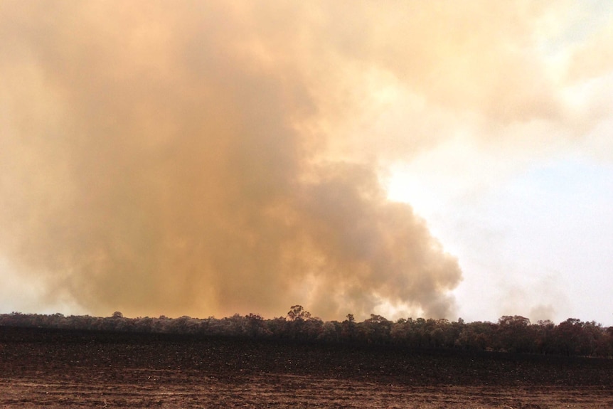 The view of the fires near Seaton