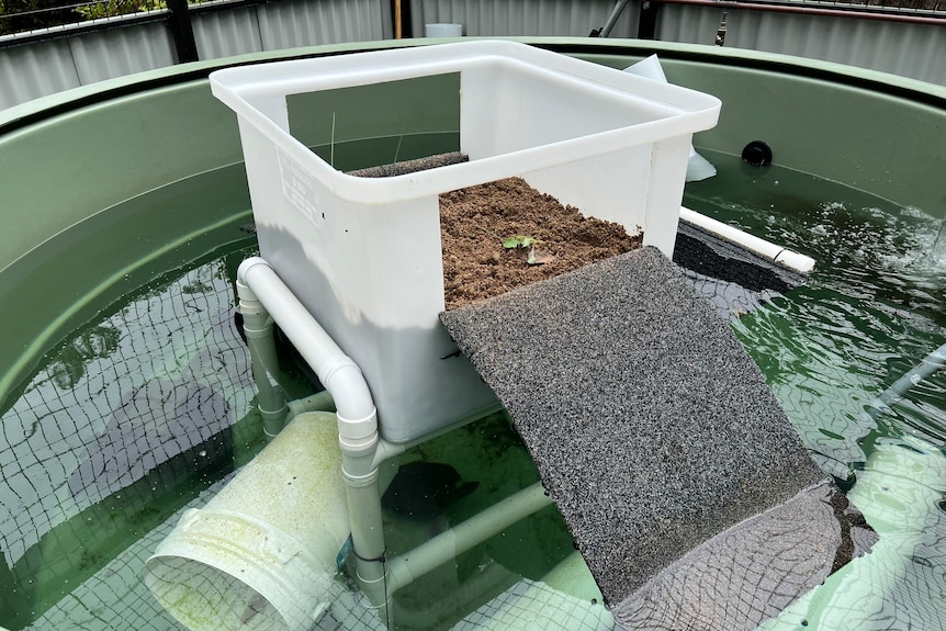 large tank of water with a bucket of soil hovering above the surface in the middle
