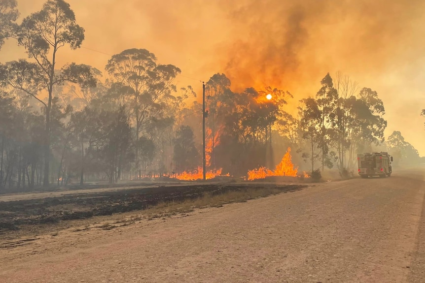 Bushfire burning along a dirt road with a fire truck nearby