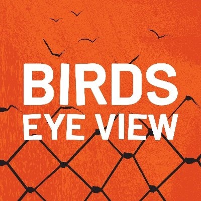Birds Eye View podcast logo with white text an orange background, and an image of chickenwire morphing into birds flying away.