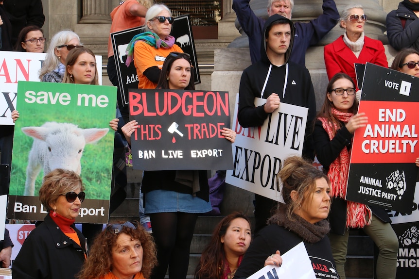 Protesters with their ban live exports posters