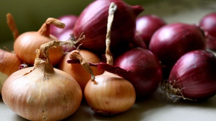 Onion industry confident that anti-levy motion won't succeed