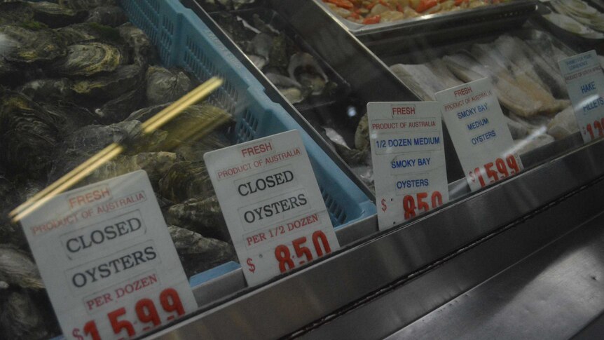 Four plastic price tags with red numbers, showing the prices for a dozen or half dozen of oysters