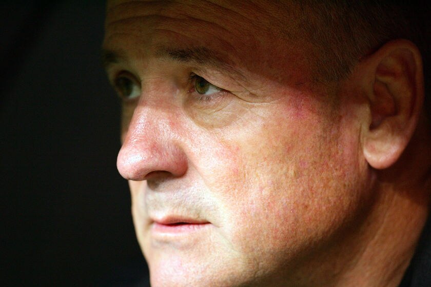 Sheens named Kangaroos coach - ABC News