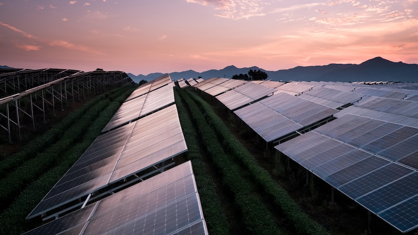 A solar power farm at sunset.