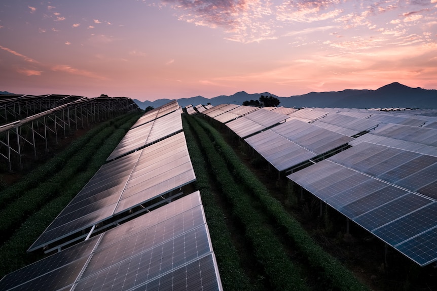 A solar power farm at sunset.