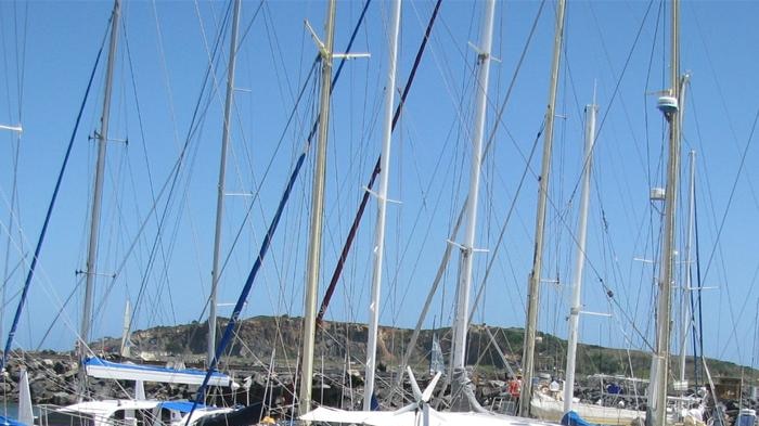 A marine ecologist is concerned plans to expand the Soldiers Point Marina will cause irreparable damage