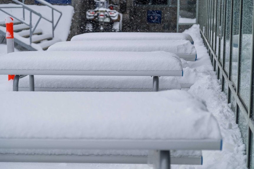 Snow several centimetres thick on the top of a picnic table.