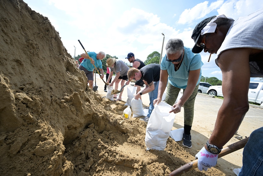 People fill bags with sand at the side of a road. 