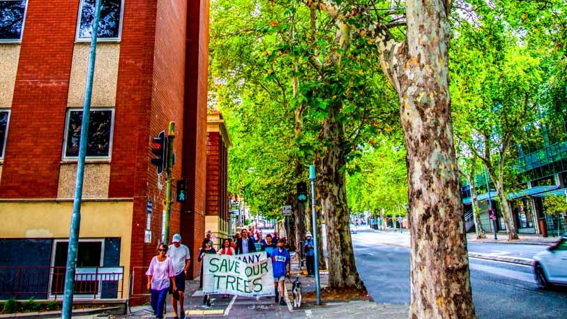 A group of people walk down a leafy street holding a banner that reads 'save our trees'