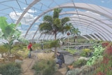 Botanic gardens greenhouse image