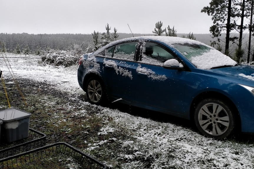 blue car in snow at victorian forest