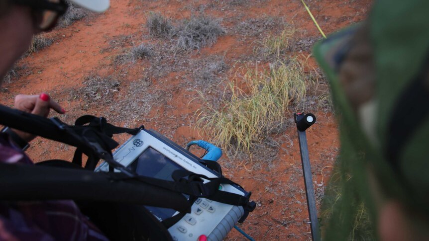 Archaeologist Kelsey Lowe from the University of Southern Queensland uses a ground penetrating radar outside Wyndorah cemetery