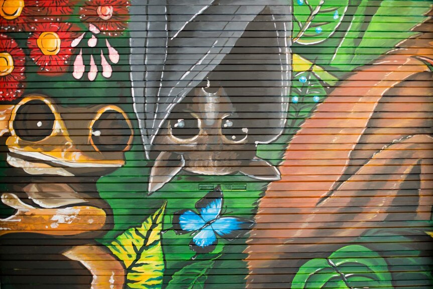 Frogs, tropical plants and a bat painted on the surface of a corrugated roller door.