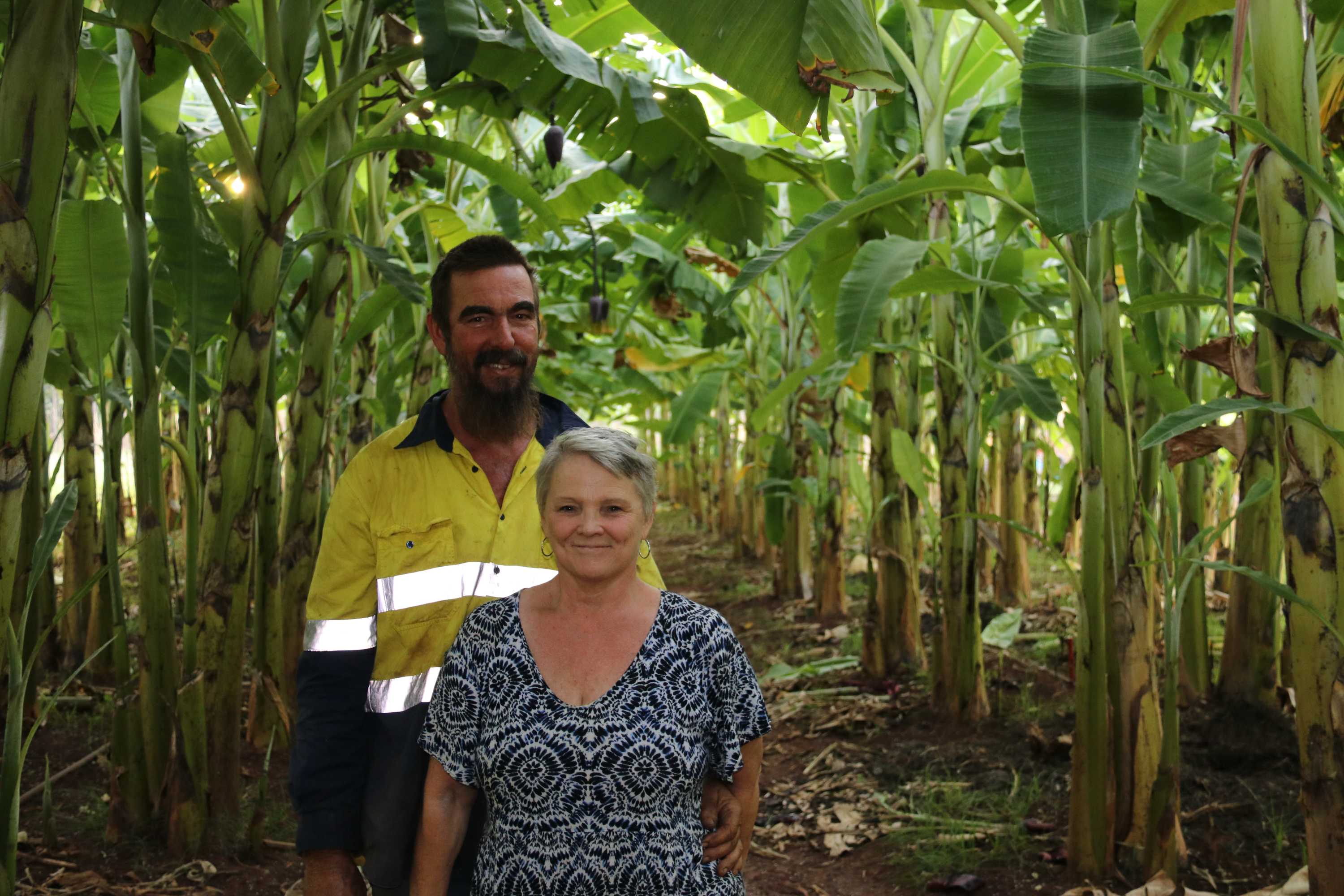 Alan Petersen and Julie Murphy standing between two rows of banana trees.