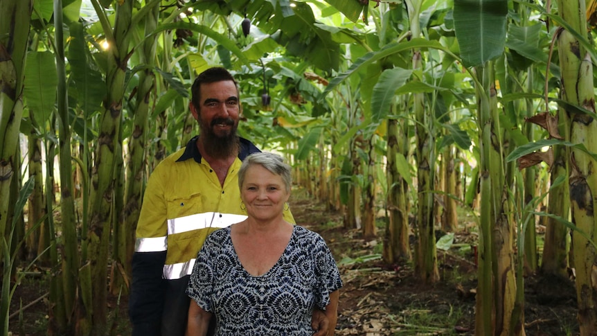 Alan Petersen and Julie Murphy standing between two rows of banana trees.