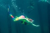A woman with brightly coloured mermaid tail swimming underwater