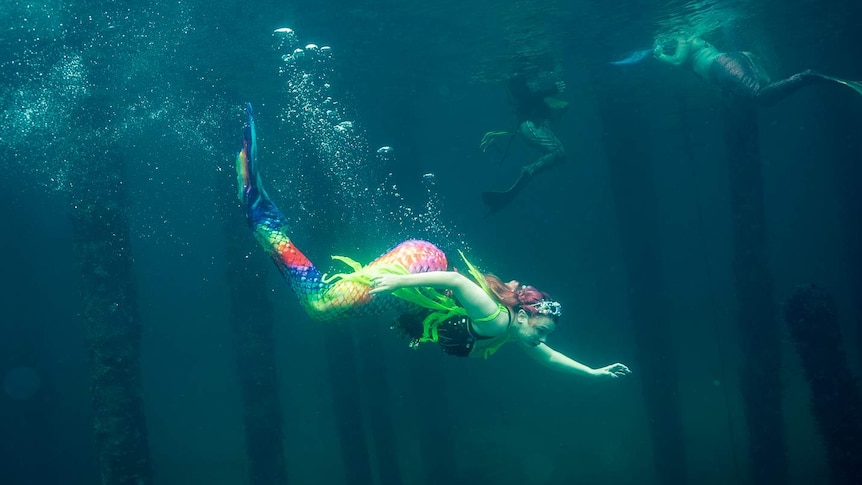 A woman with brightly coloured mermaid tail swimming underwater