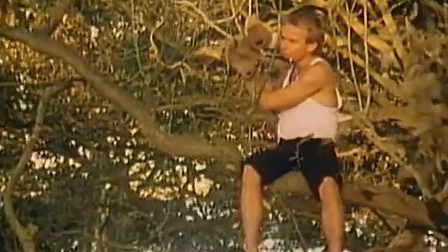 A man sits in a tree play a flute, next to a toy koala.