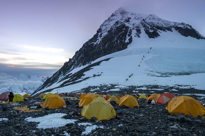 Yellow tents with a snow-covered mountain rising up behind them.
