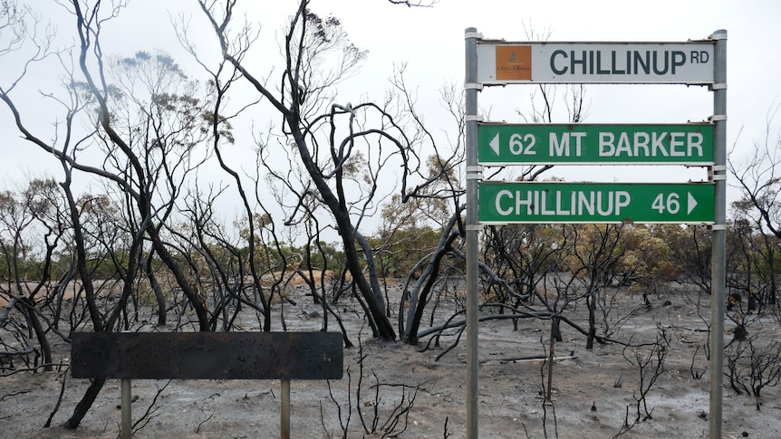 a road sign with a burnt landscape behind it