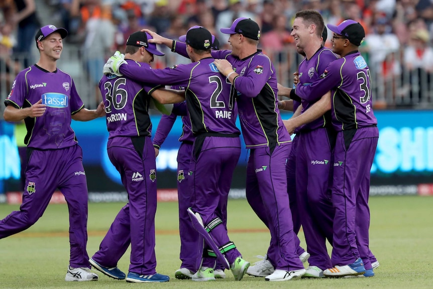 Hobart Hurricanes players in purple uniforms congratulate each other.