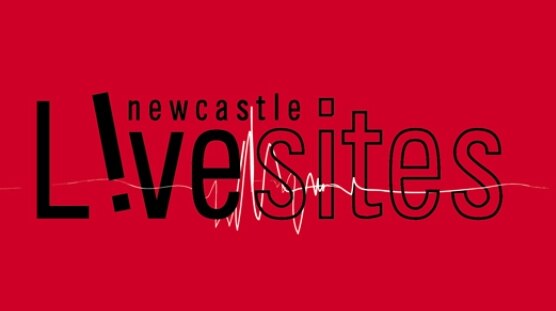 Questions over the outsourcing of Newcastle's Livesites program.