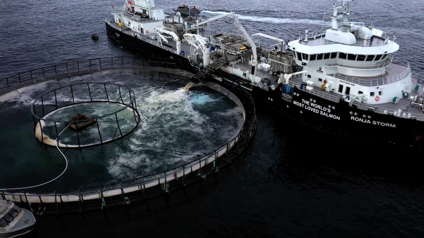 An aerial photo of a ship next to a circular salmon pen in a Tasmanian bay.