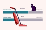 A custom image showing some charts comparing men and women's unpaid labour with a cat and vacuum cleaner on top