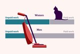A custom image showing some charts comparing men and women's unpaid labour with a cat and vacuum cleaner on top
