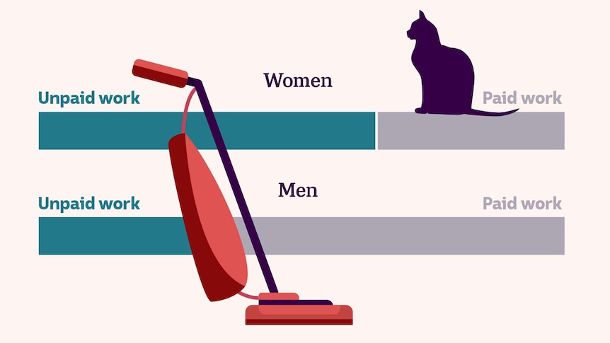 A custom image showing some charts comparing men and women's unpaid labour with a cat and vacuum cleaner on top