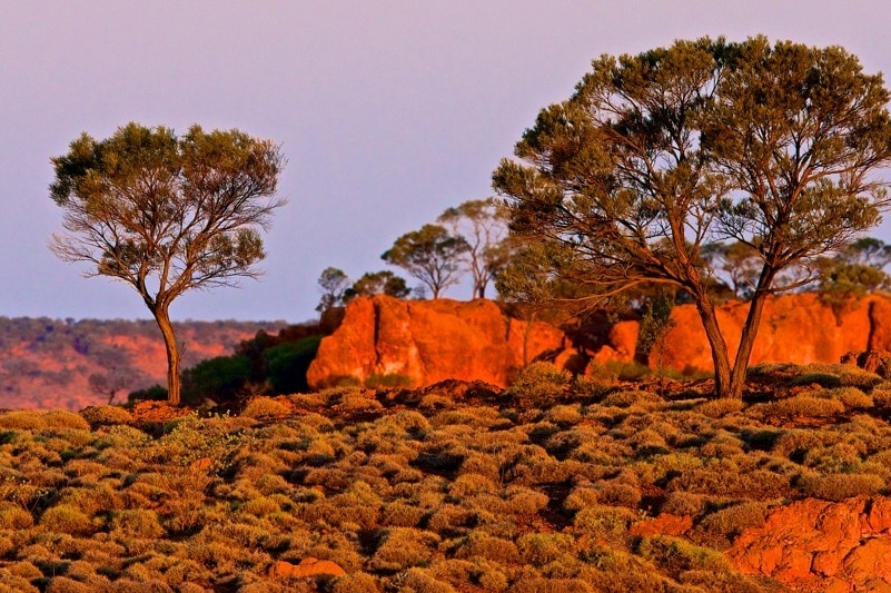 Arid landscape near Middleton