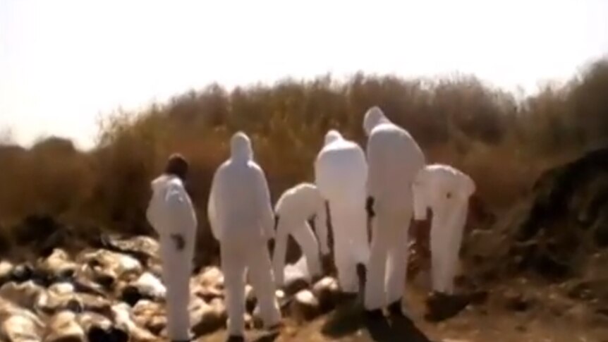 Video emerges of alleged forensic officials exhuming bodies in Mexico