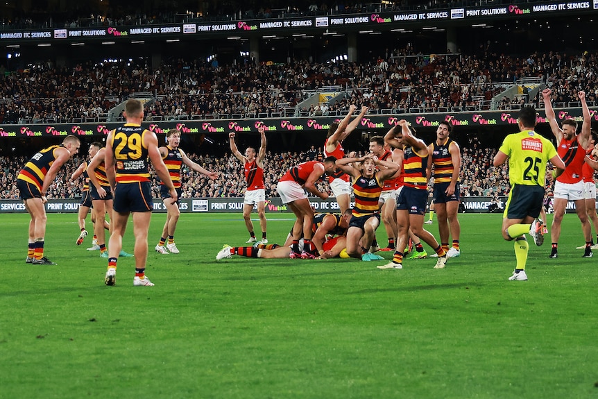 Adelaide players look dejected as Essendon players celebrate while a Bombers player lies on the ball after the siren. 