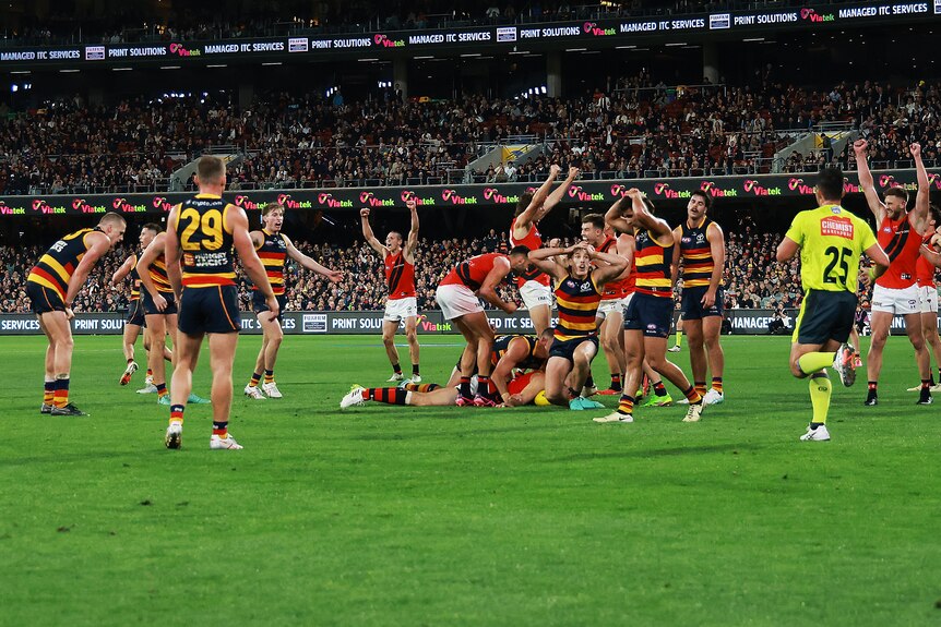 Adelaide players look dejected as Essendon players celebrate while a Bombers player lies on the ball after the siren. 