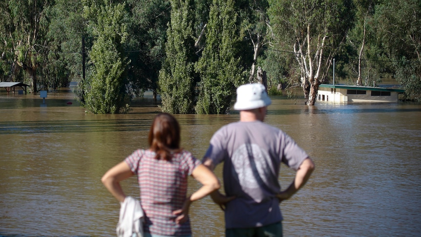 Murrumbidgee River threatens Wagga Wagga