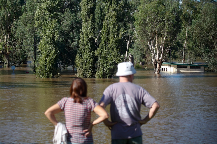 Murrumbidgee River threatens Wagga Wagga