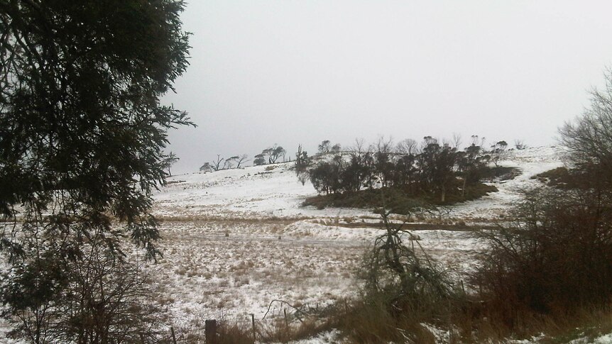 Snow at St Peters Pass on Tasmania's Midland Highway