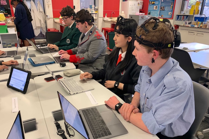 Students wearing ECG headsets while sitting at their computers.