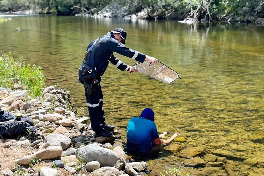 A man wearing a blue t-shirt sitting in the river as a police officer holds a reflective shield over him