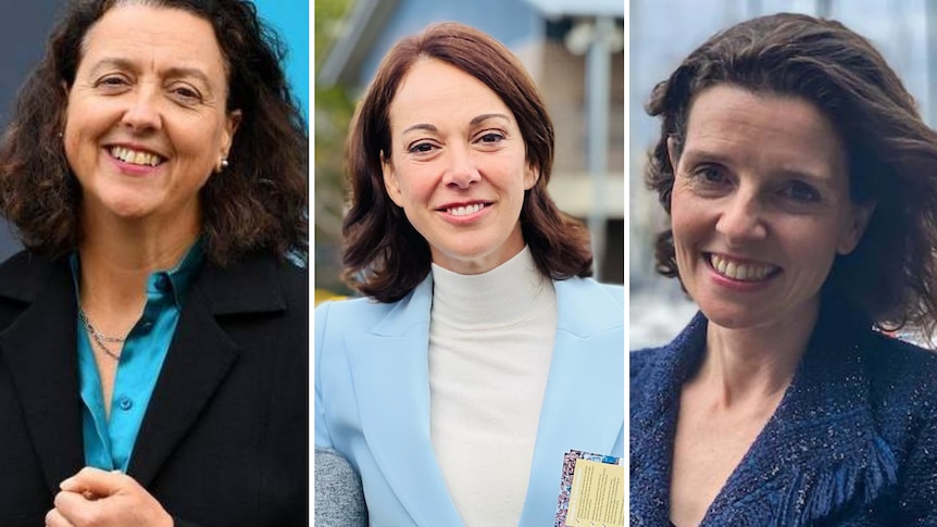A composite image of three independent candidates.