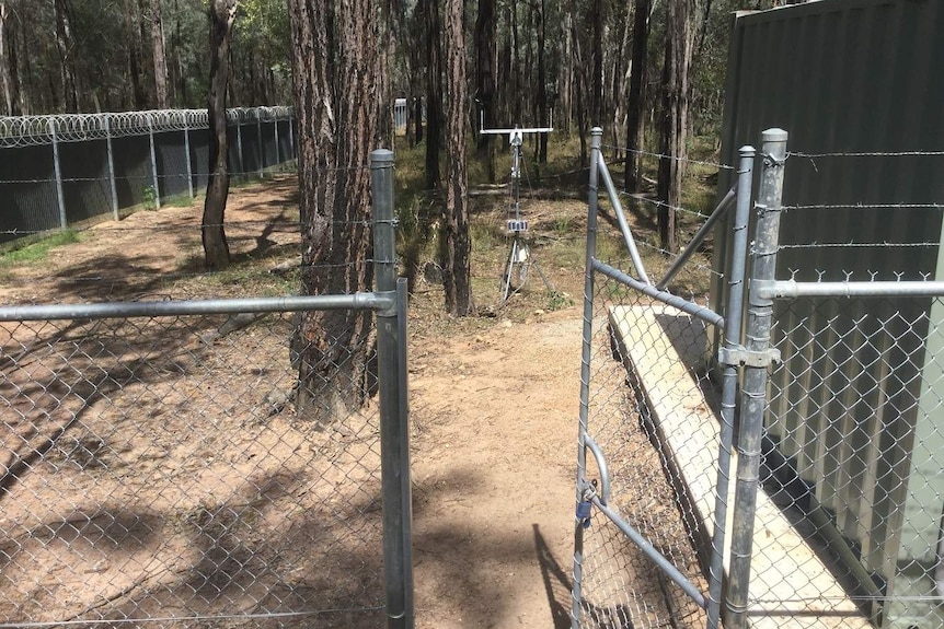 Metal fence around Australian bushland.