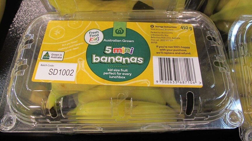 Mini bananas in a plastic container at the supermarket.