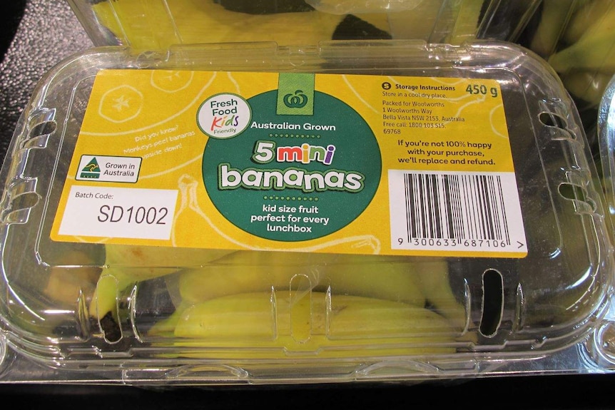Mini bananas in a plastic container at the supermarket.